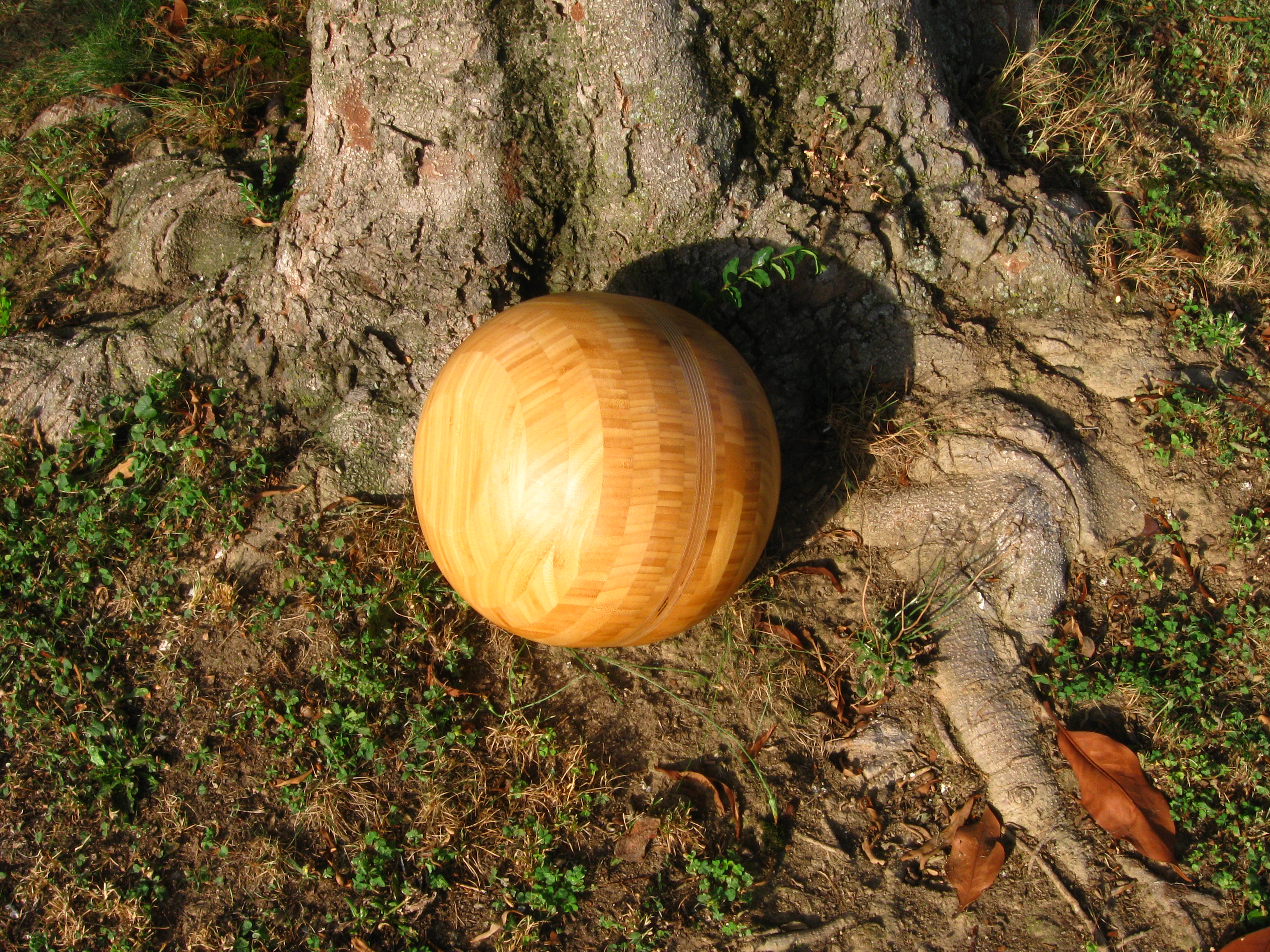 La Sfera Emozionale HBE